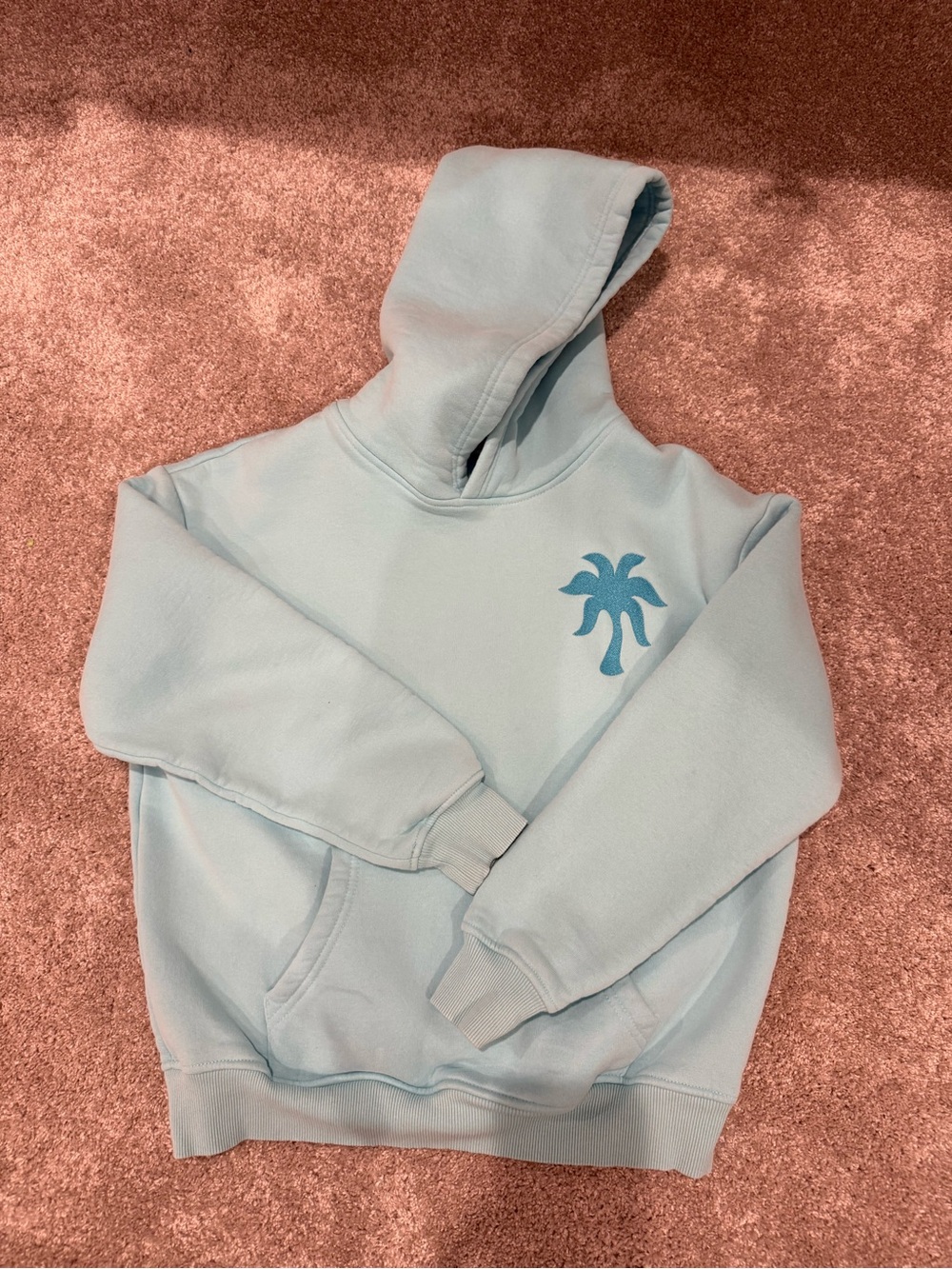 Light Turquoise Blue Palm-Logo Pullover Hoodie